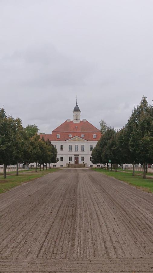 Fewo In Neustadt/Dosse, Der Stadt Der Pferde Leddin Екстер'єр фото